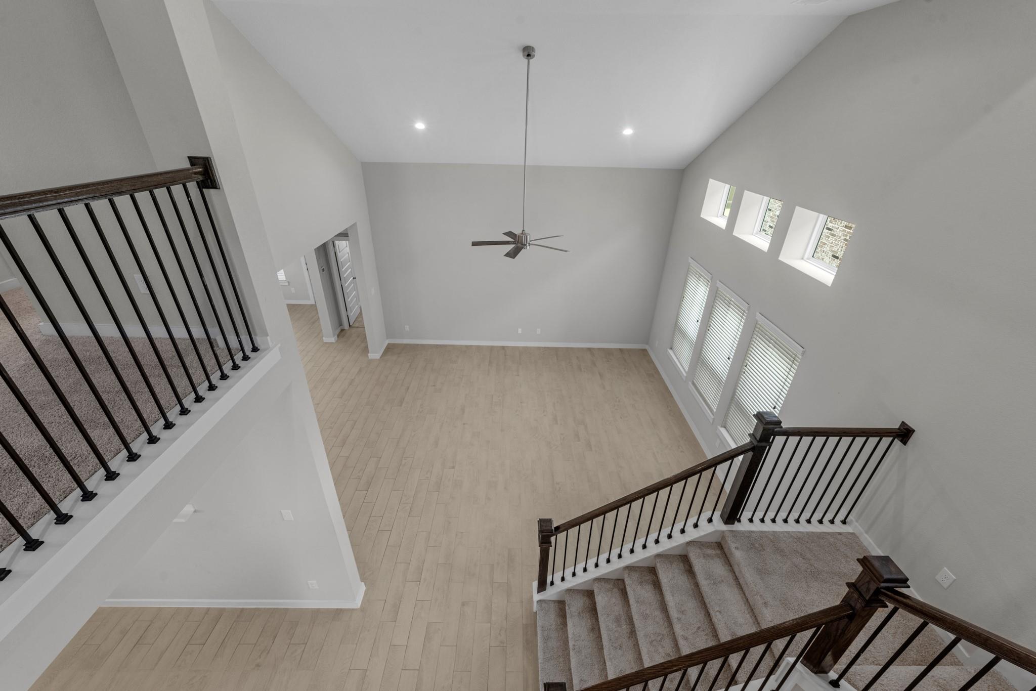 1907 Scarlet Yaupon Way