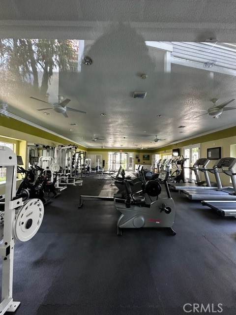 23412 Pacific Park Drive 42C