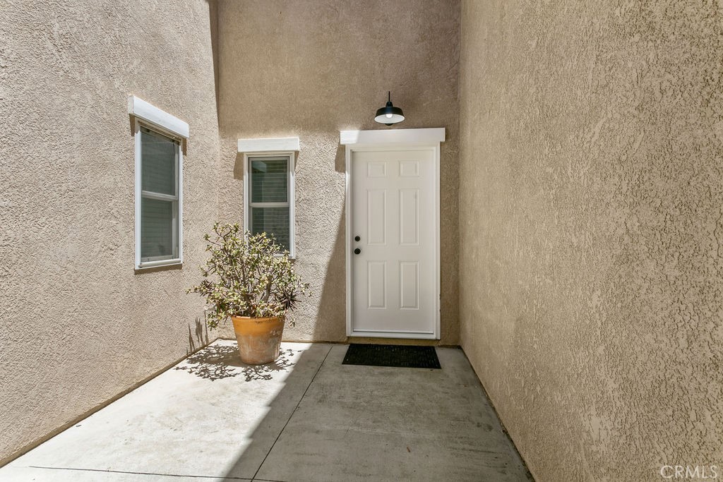 33912 Violet Lantern Street