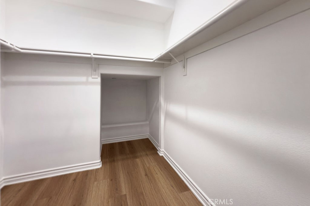 33912 Violet Lantern Street A