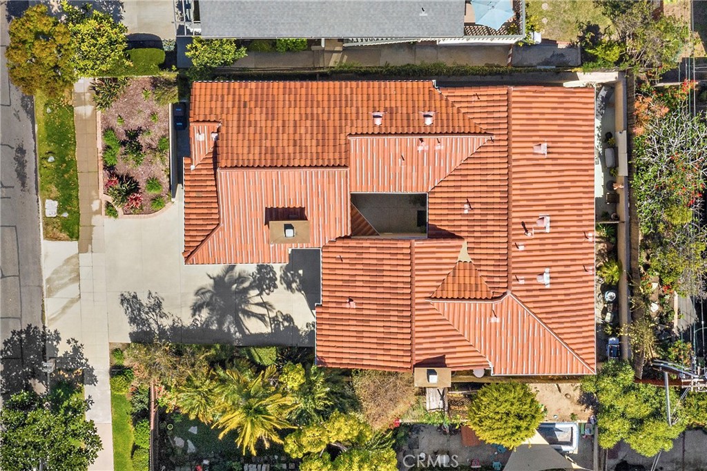 33912 Violet Lantern Street