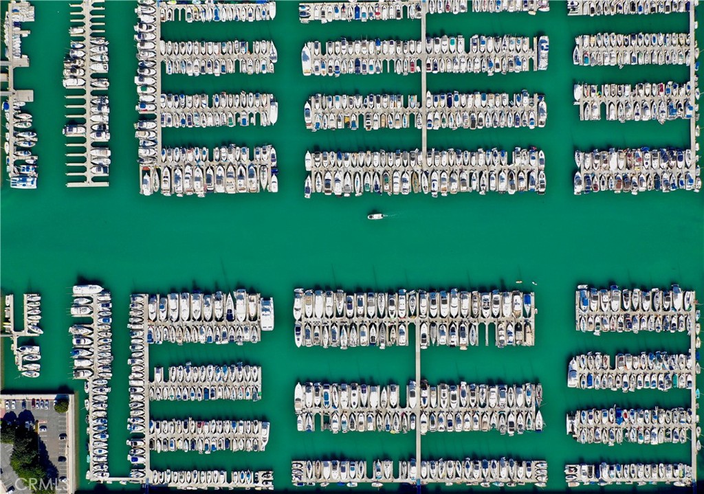 33912 Violet Lantern Street