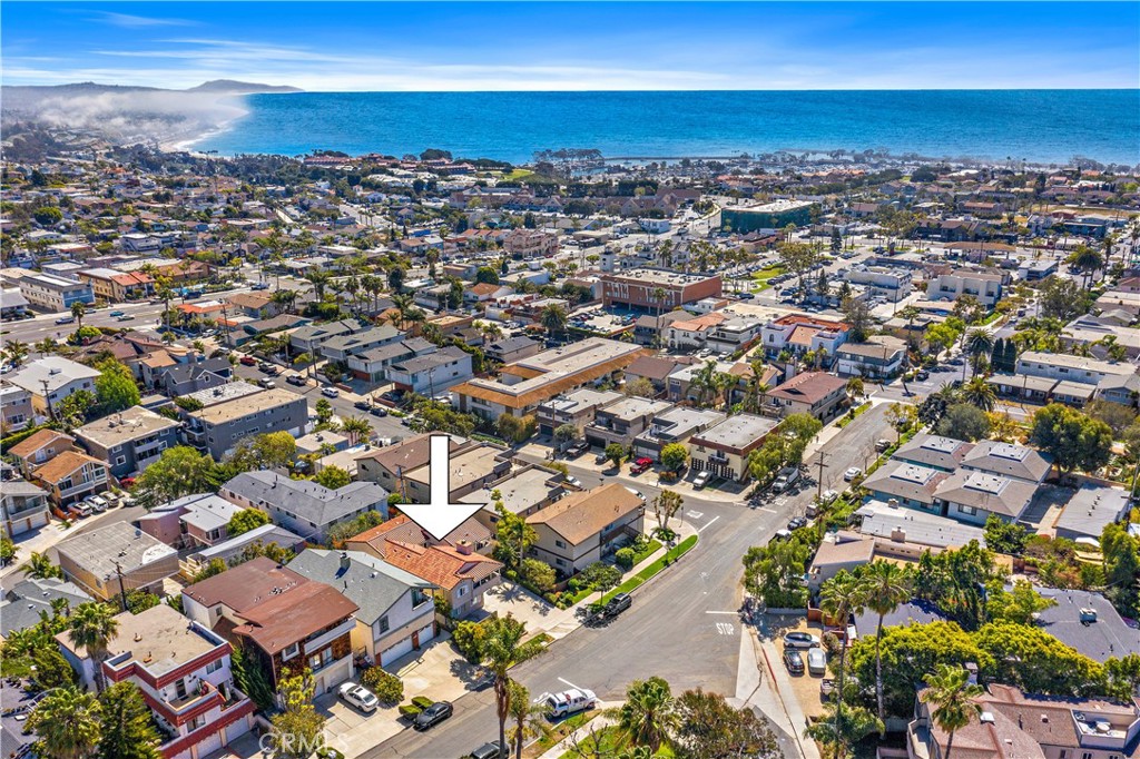 33912 Violet Lantern Street