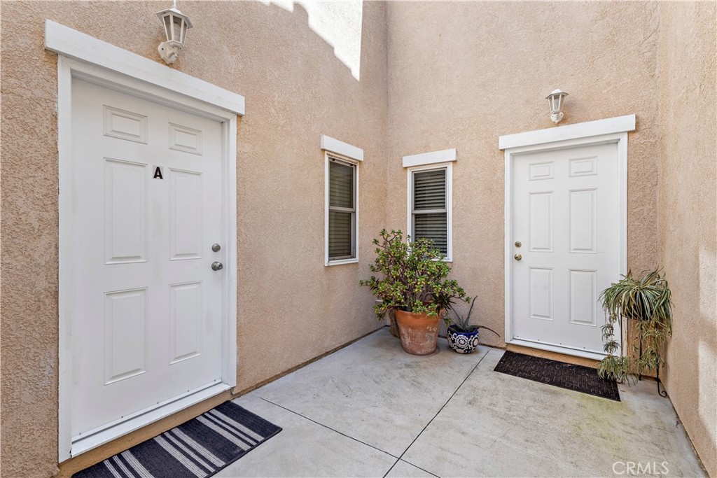 33912 Violet Lantern Street