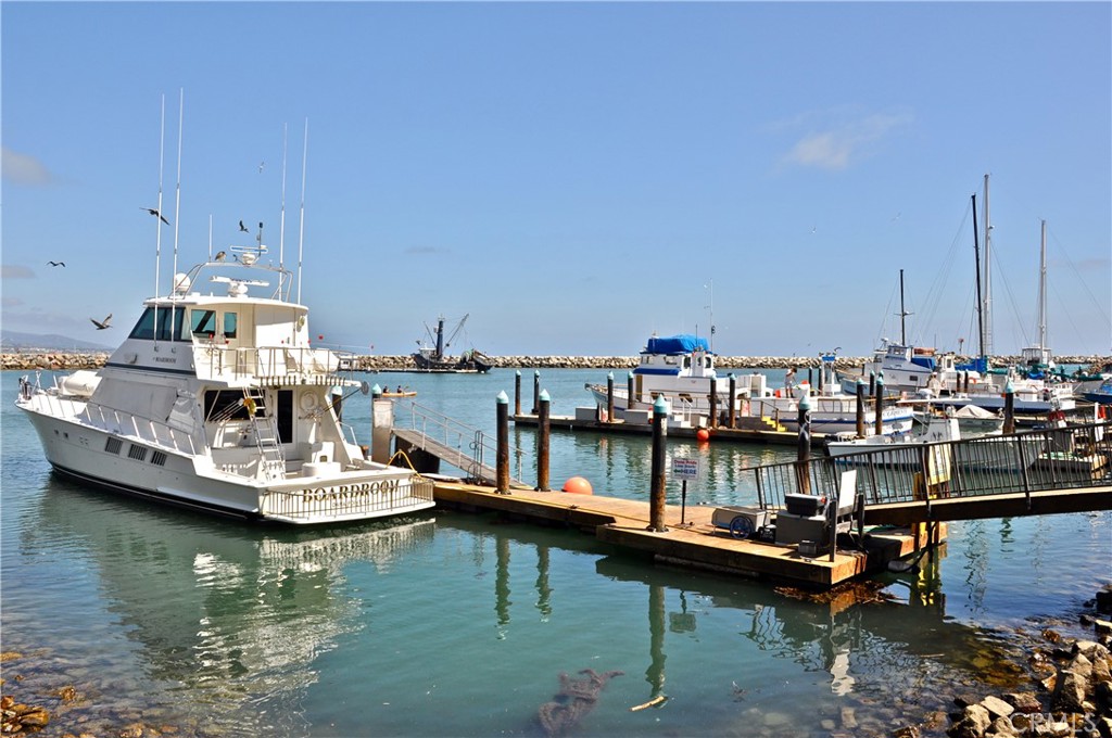 33912 Violet Lantern Street