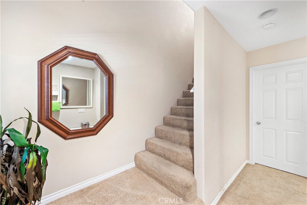 33912 Violet Lantern Street