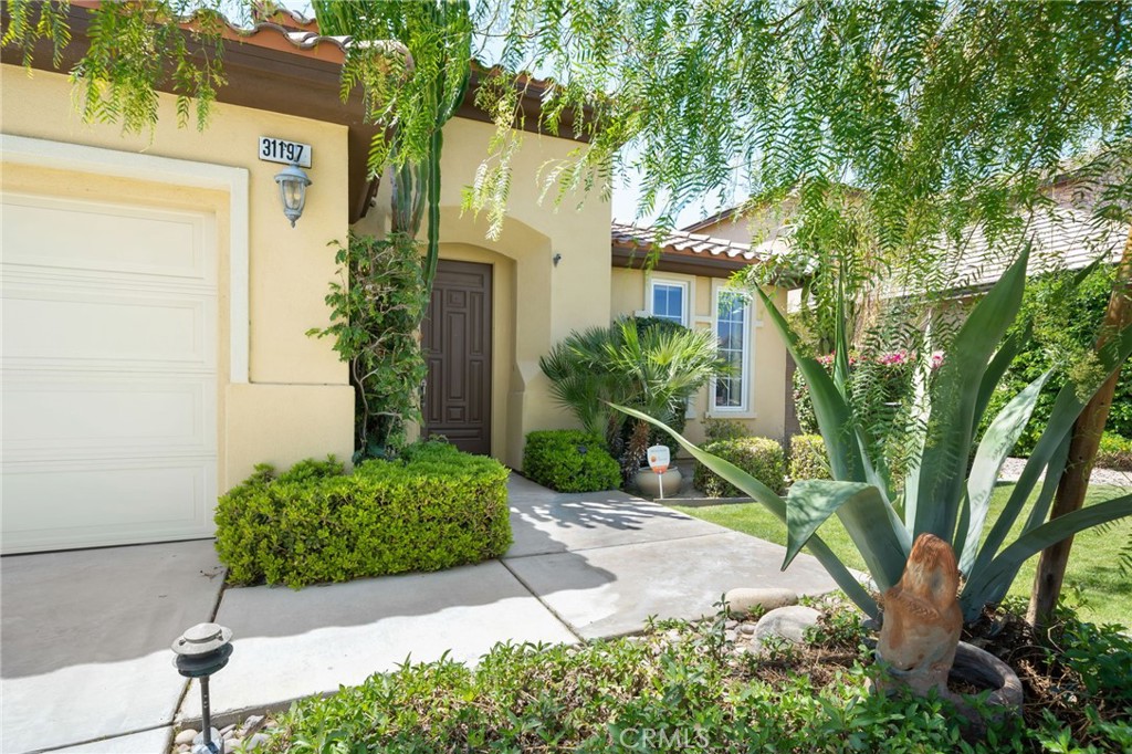 31197 Faja Caballero