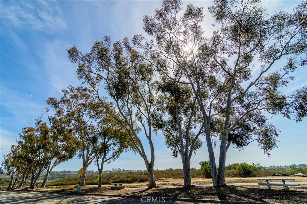 2516 University Drive