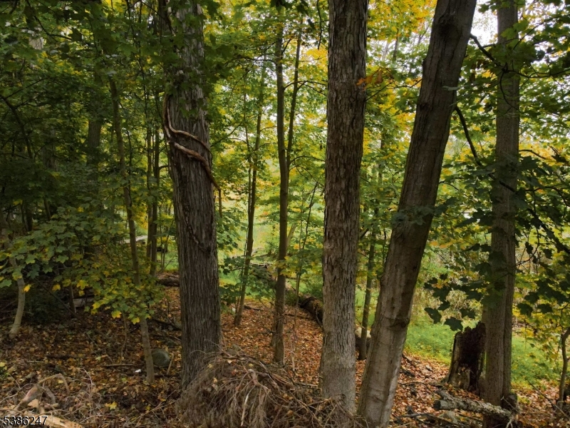 99 Seneca Lake Rd