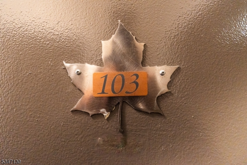 2 Chamonix Dr 103
