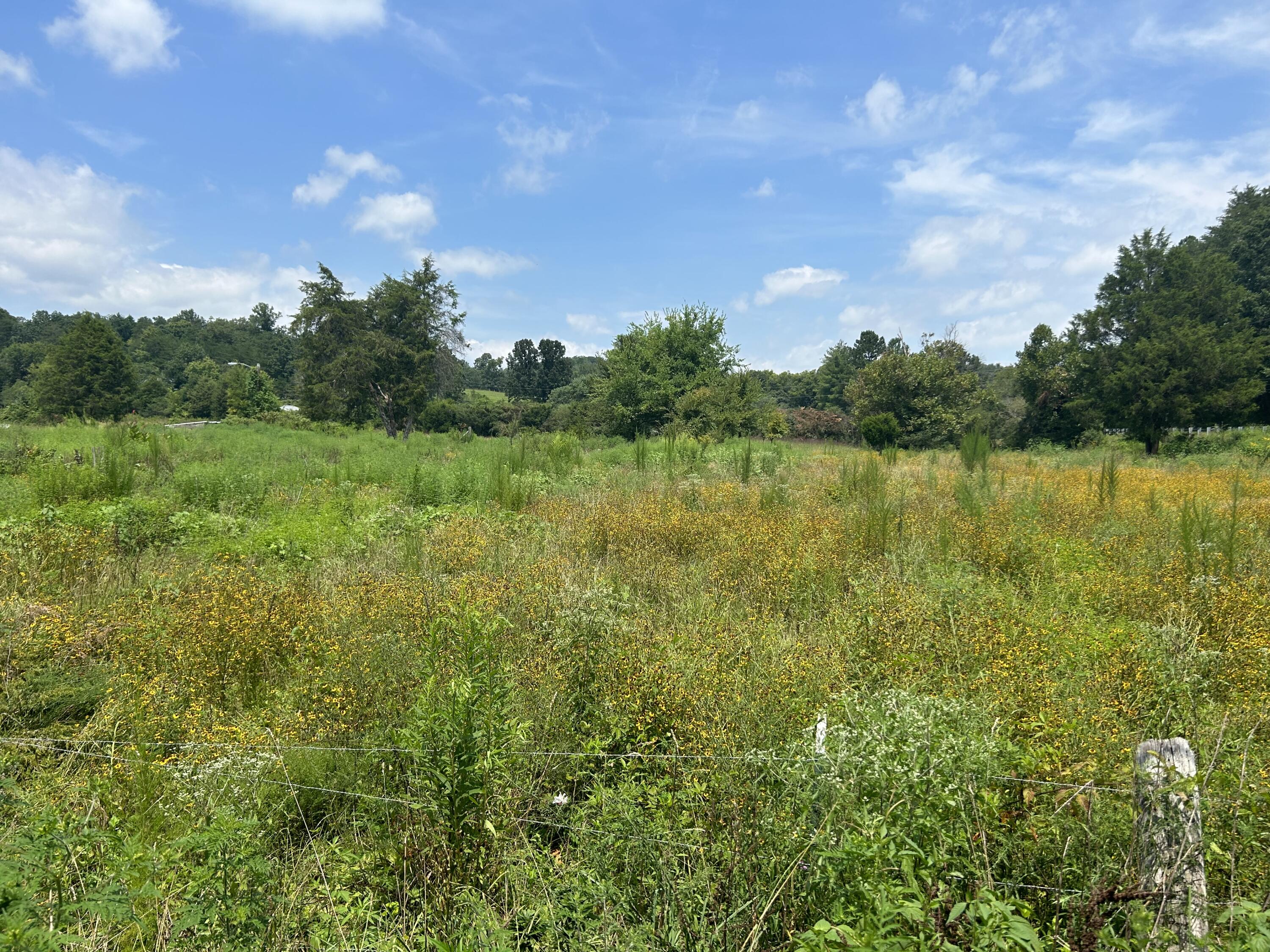 2130 Black Oak Ridge Road