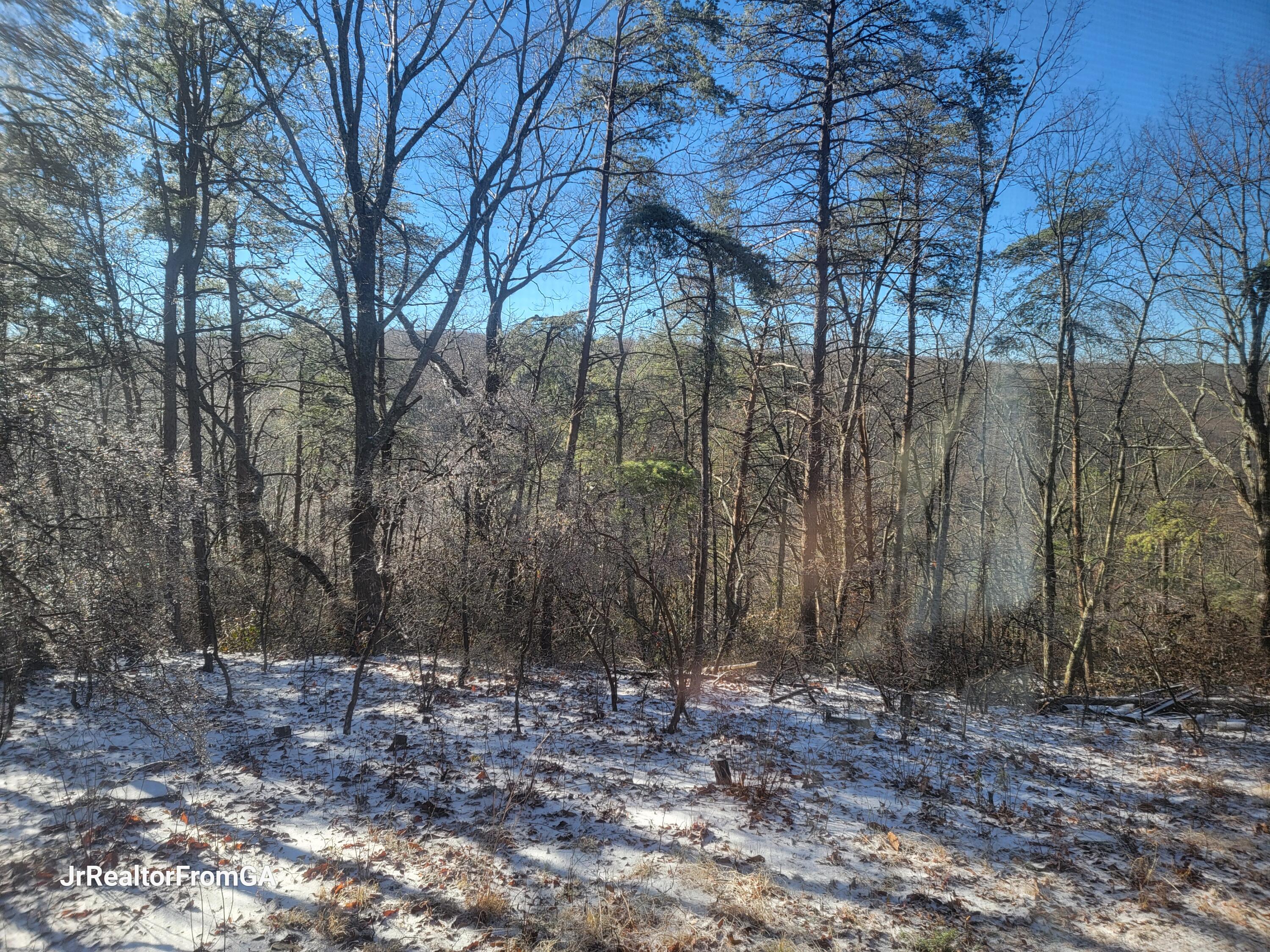 3904 Highway 157