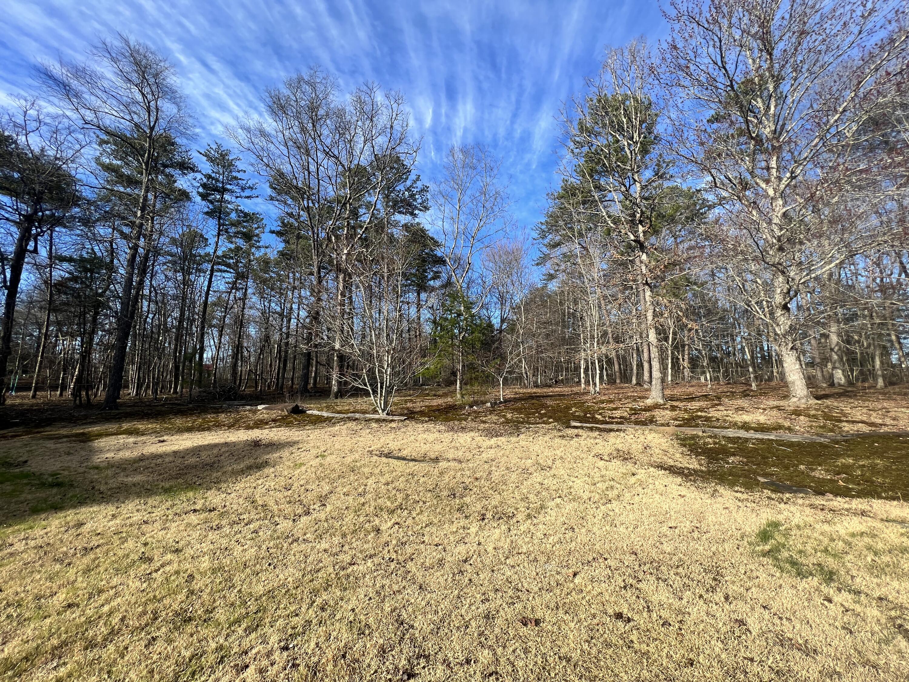 8126 Hixson Springs Rd