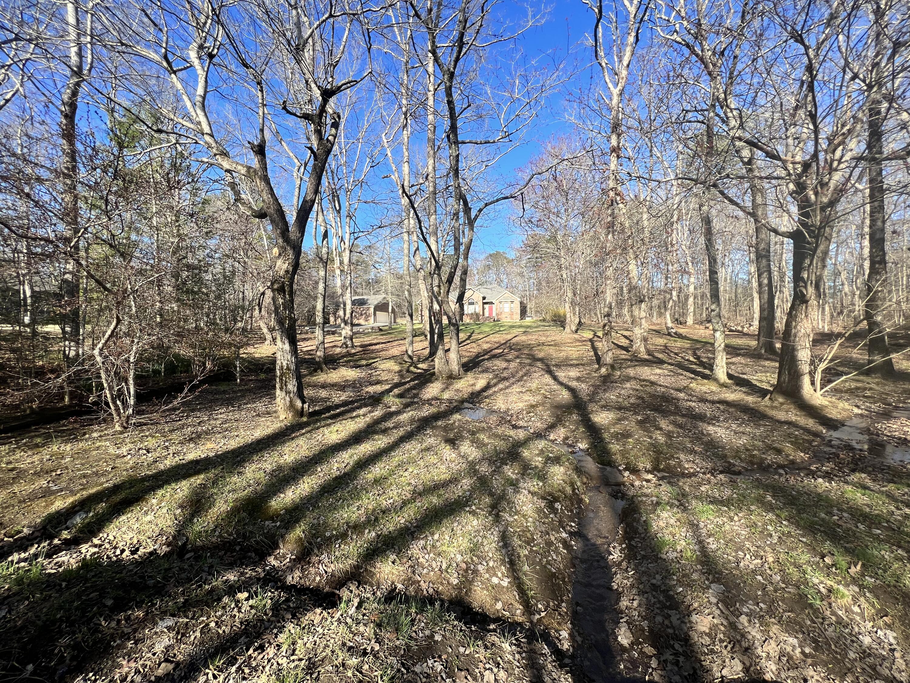 8126 Hixson Springs Rd
