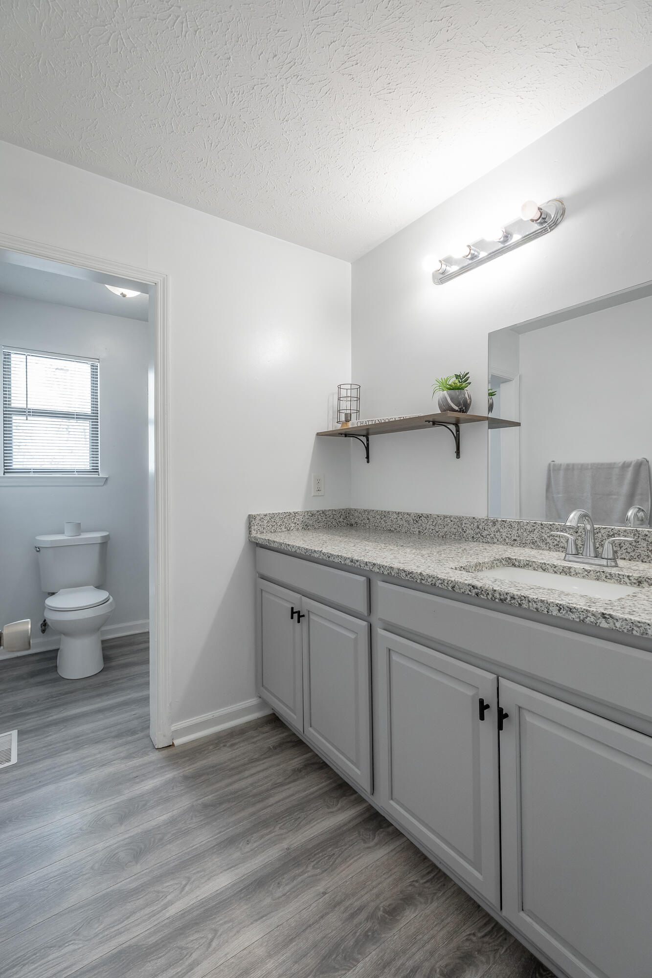 443 Smoketree Circle