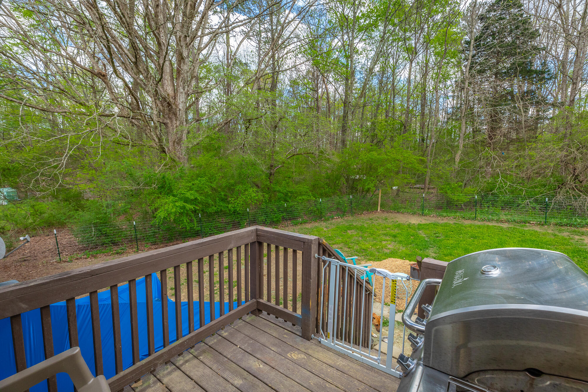 443 Smoketree Circle