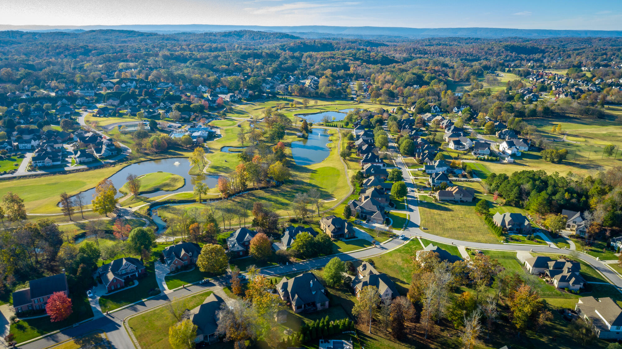 8659 Rambling Rose Drive