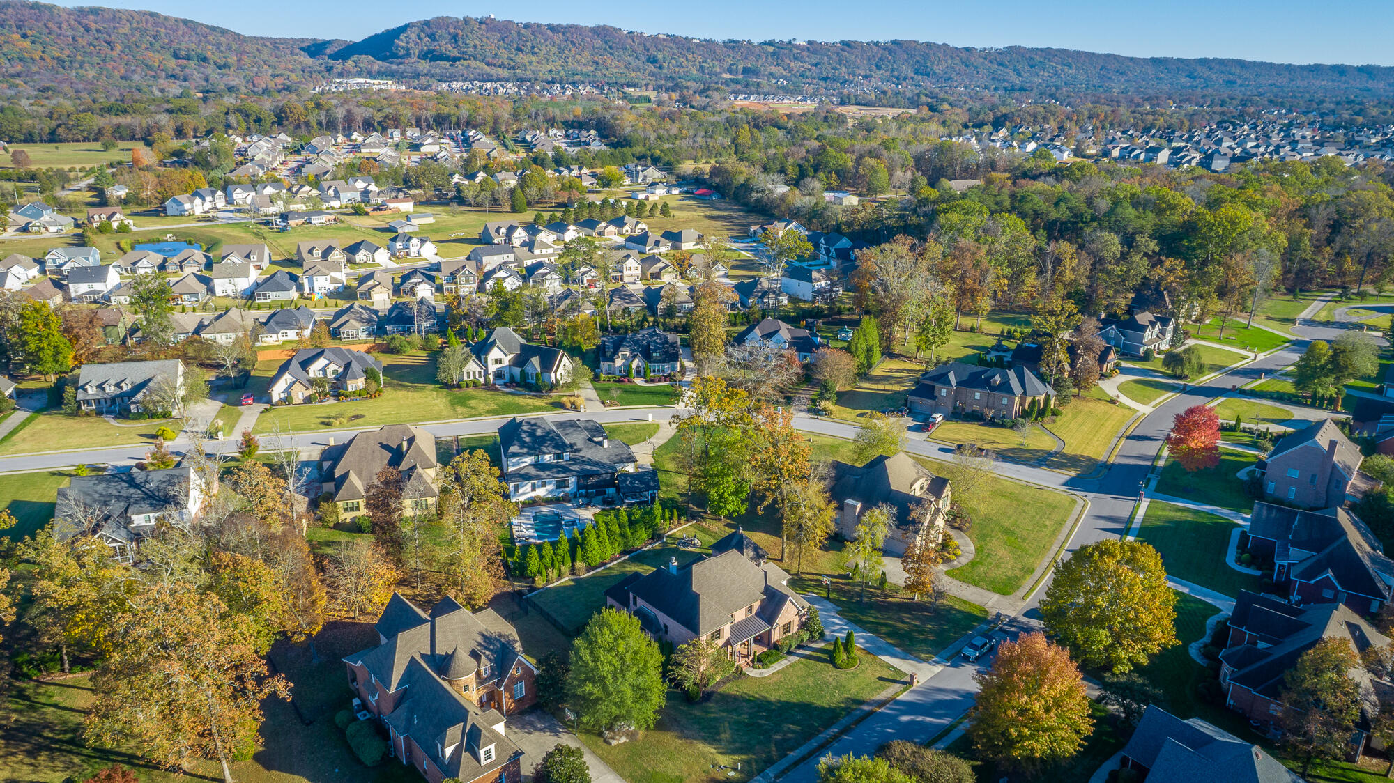 8659 Rambling Rose Drive