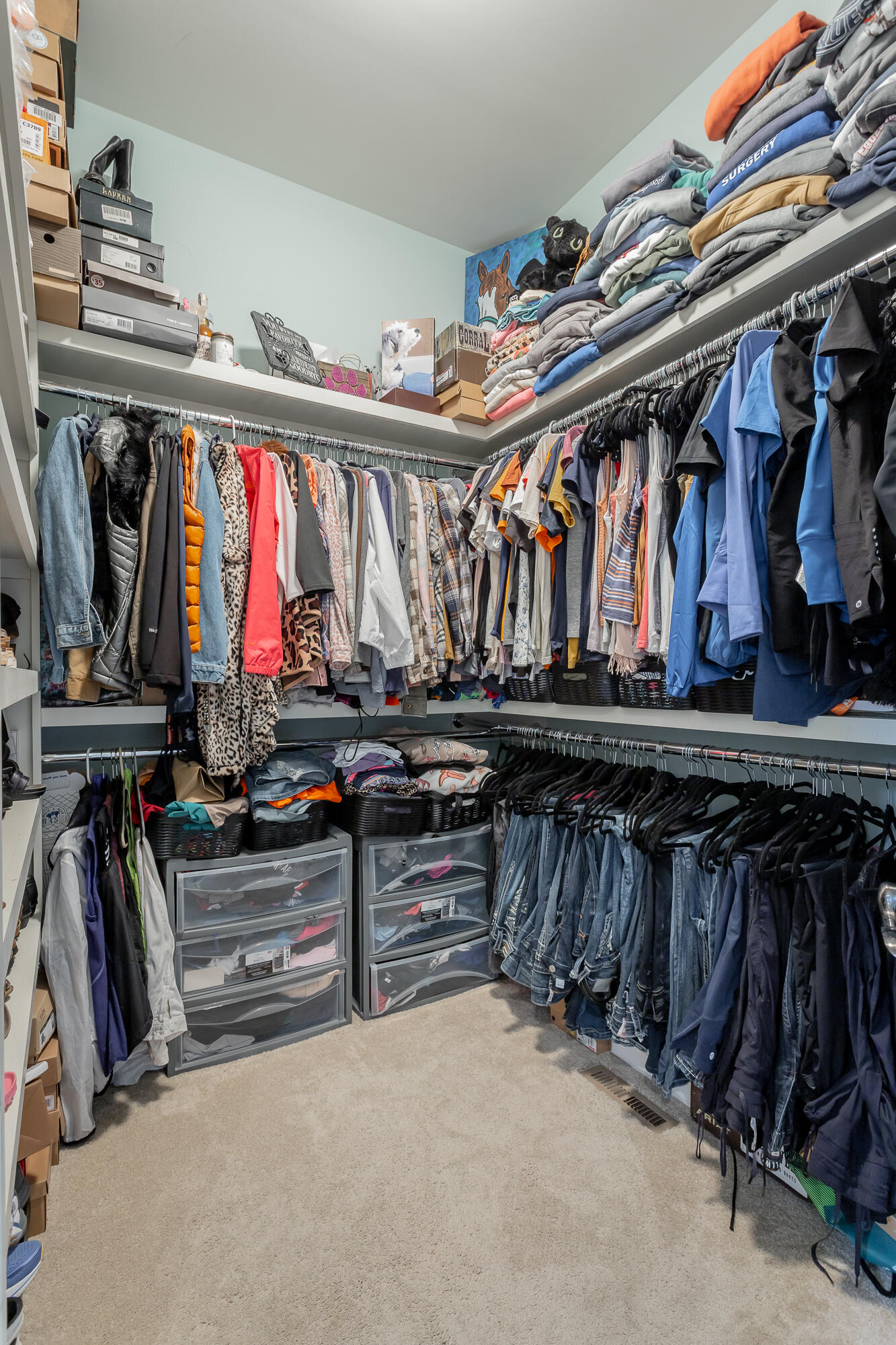 8659 Rambling Rose Drive