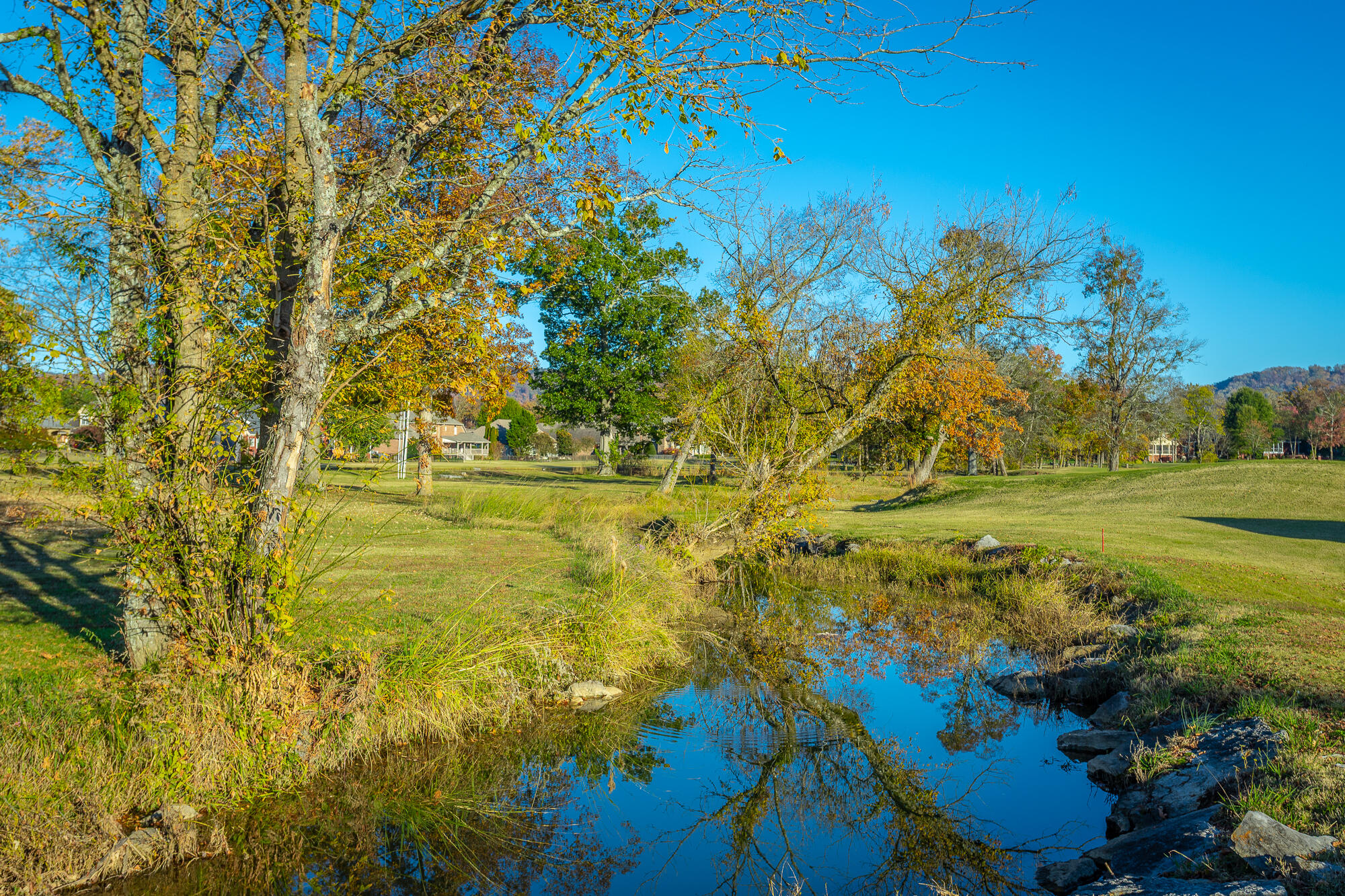 8659 Rambling Rose Drive