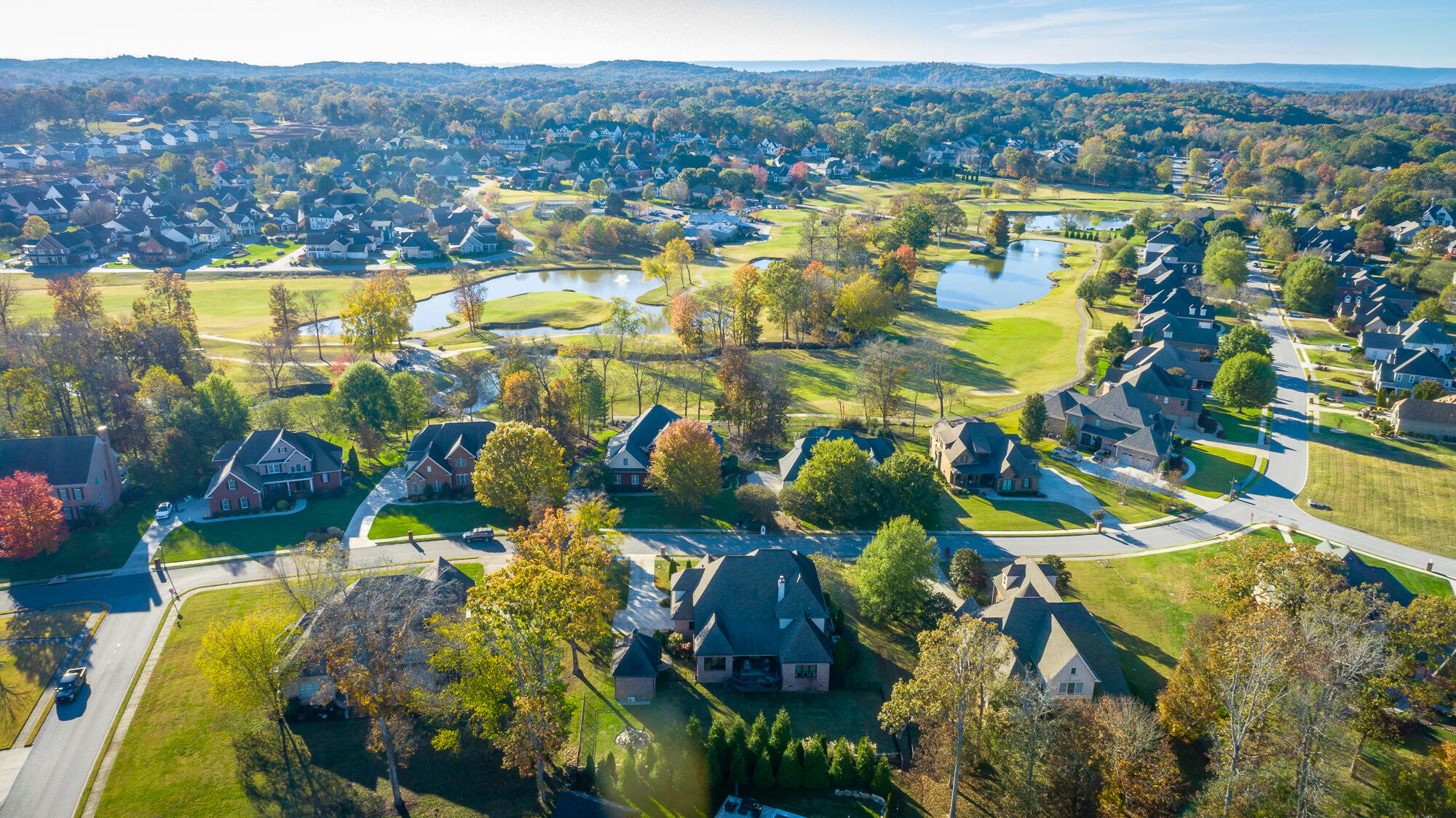 8659 Rambling Rose Drive