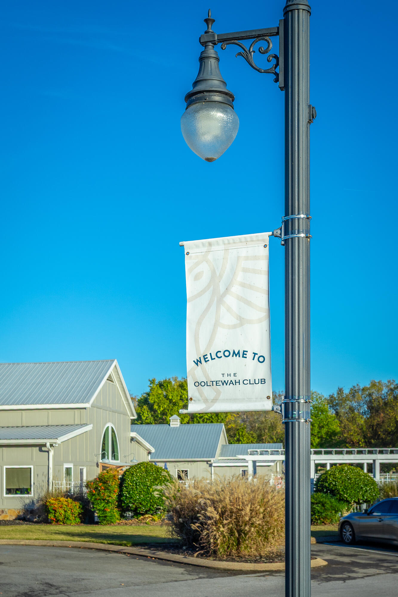 8659 Rambling Rose Drive