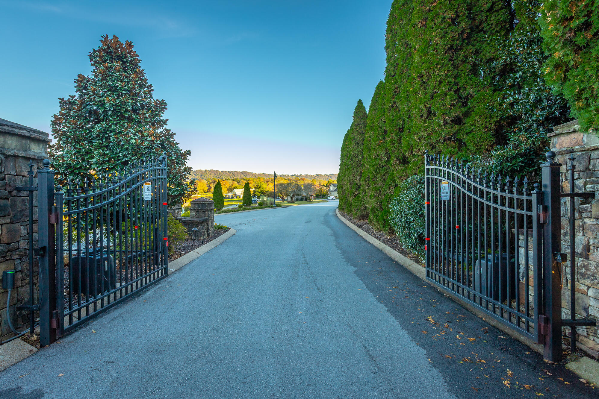 8659 Rambling Rose Drive