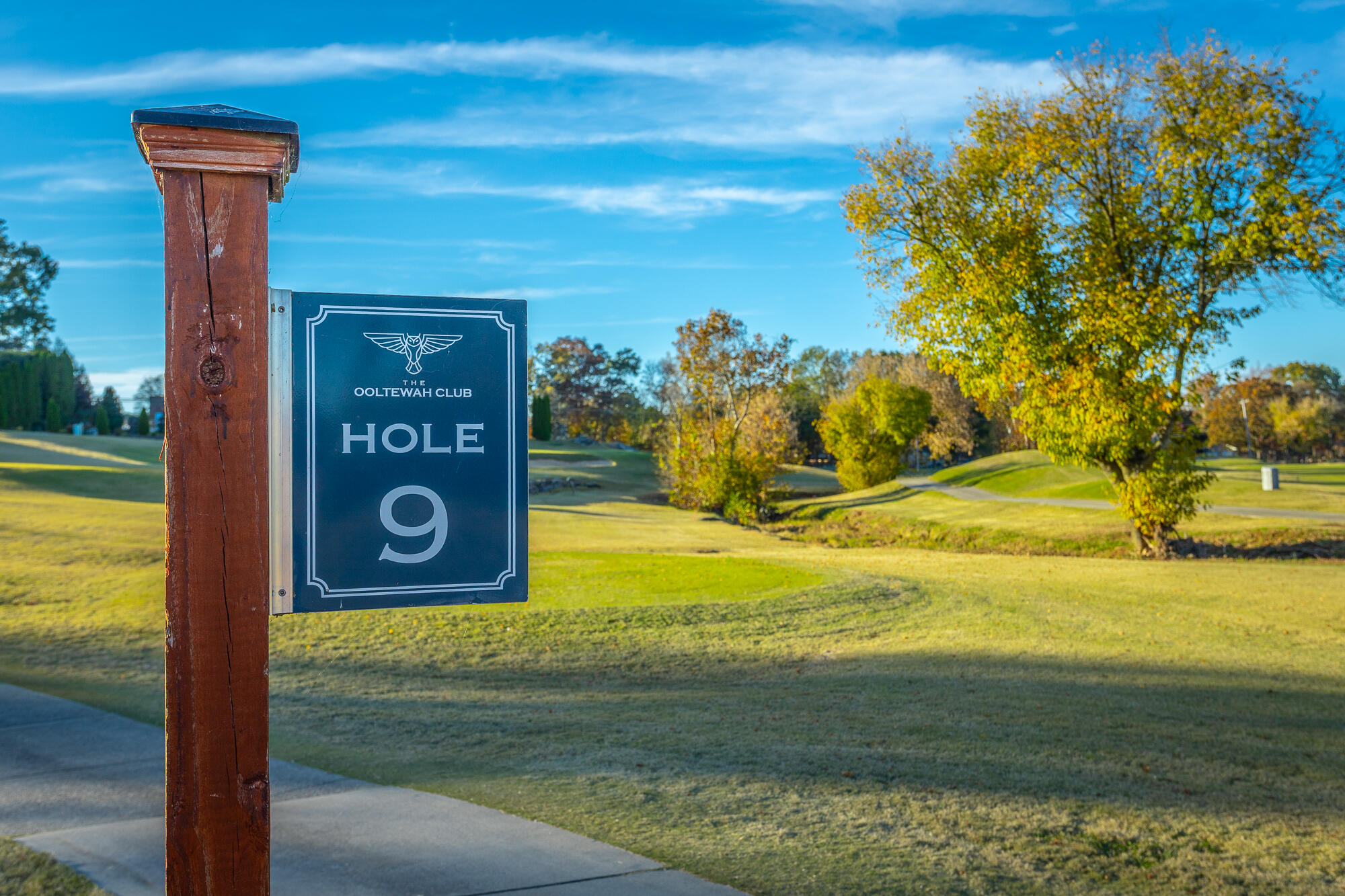 8659 Rambling Rose Drive