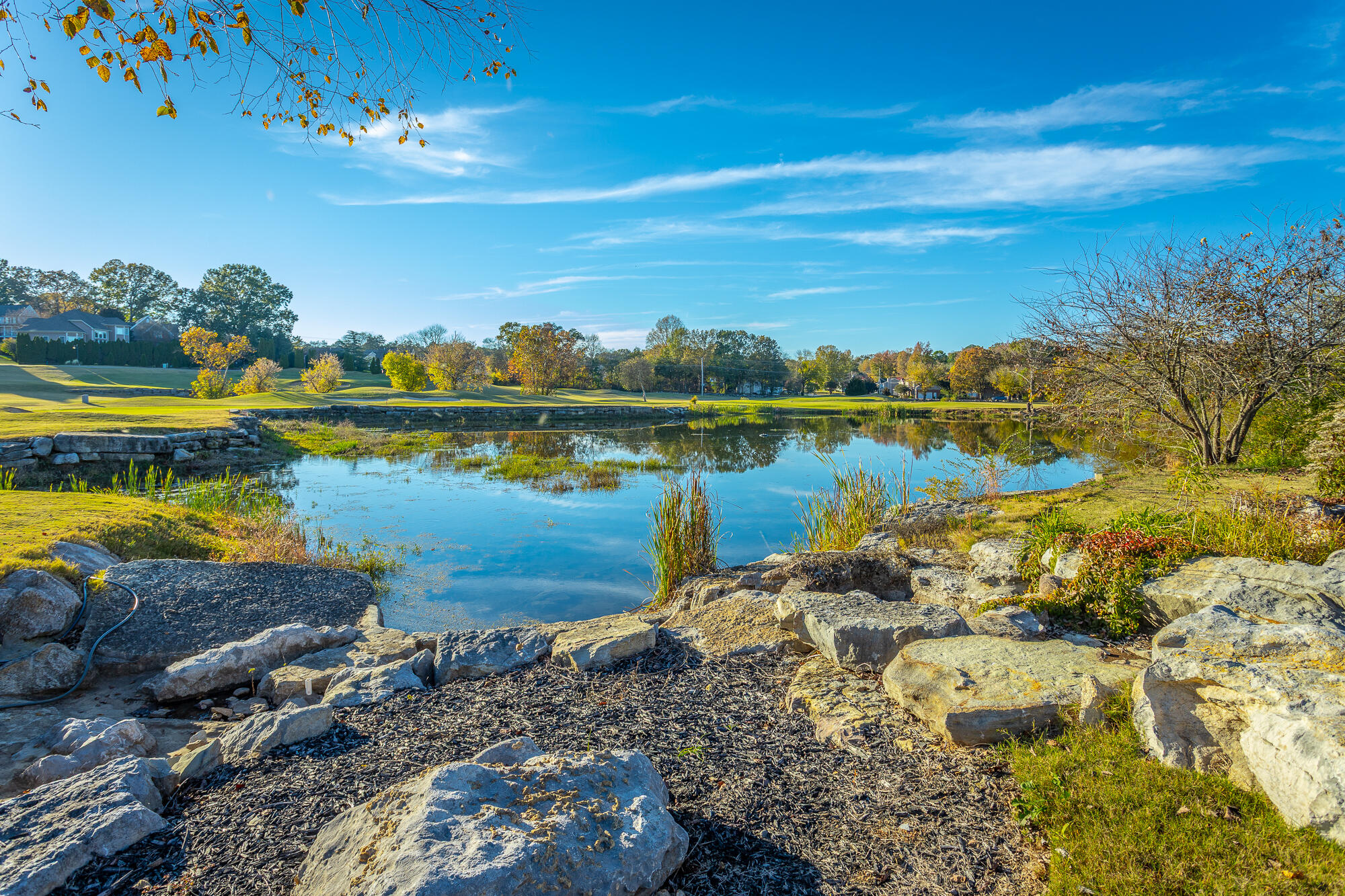 8659 Rambling Rose Drive