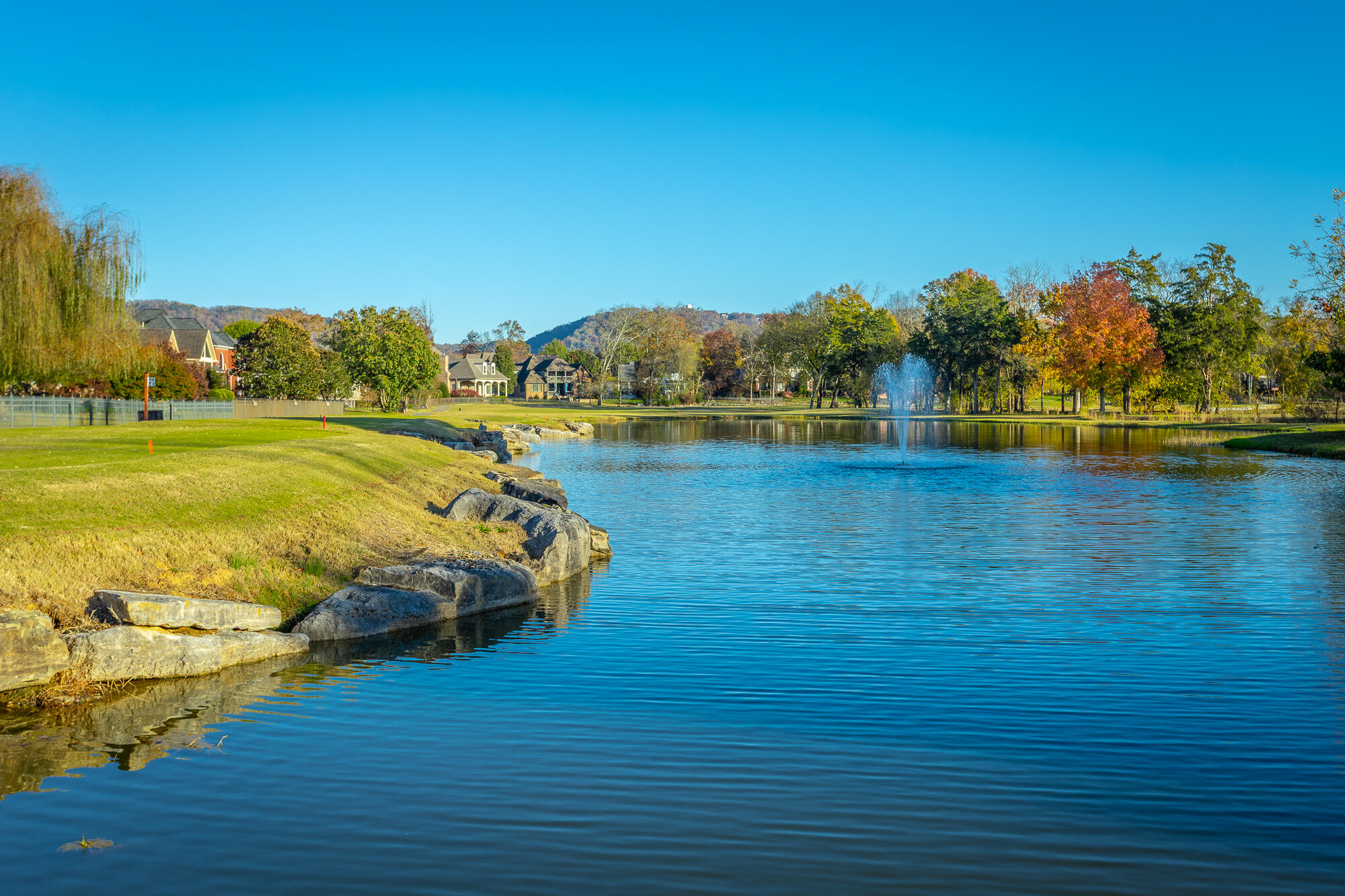 8659 Rambling Rose Drive