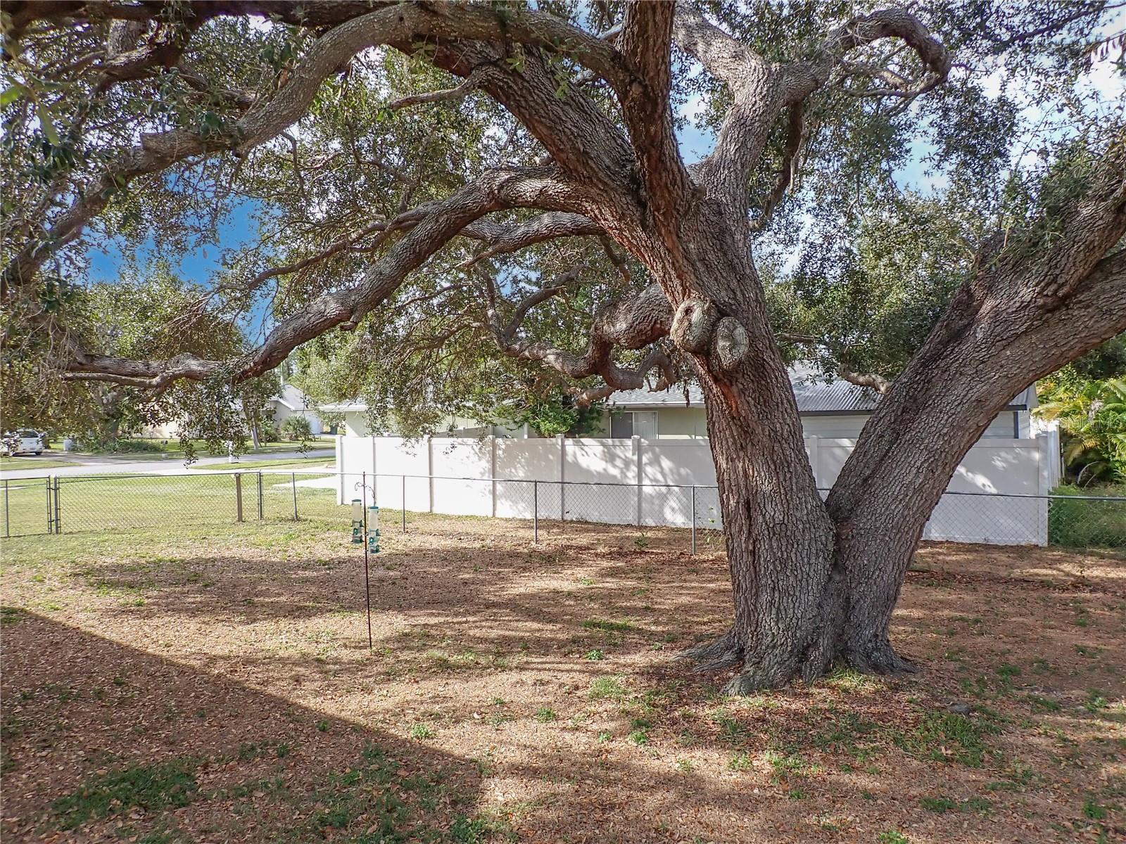 5413 GABO RD