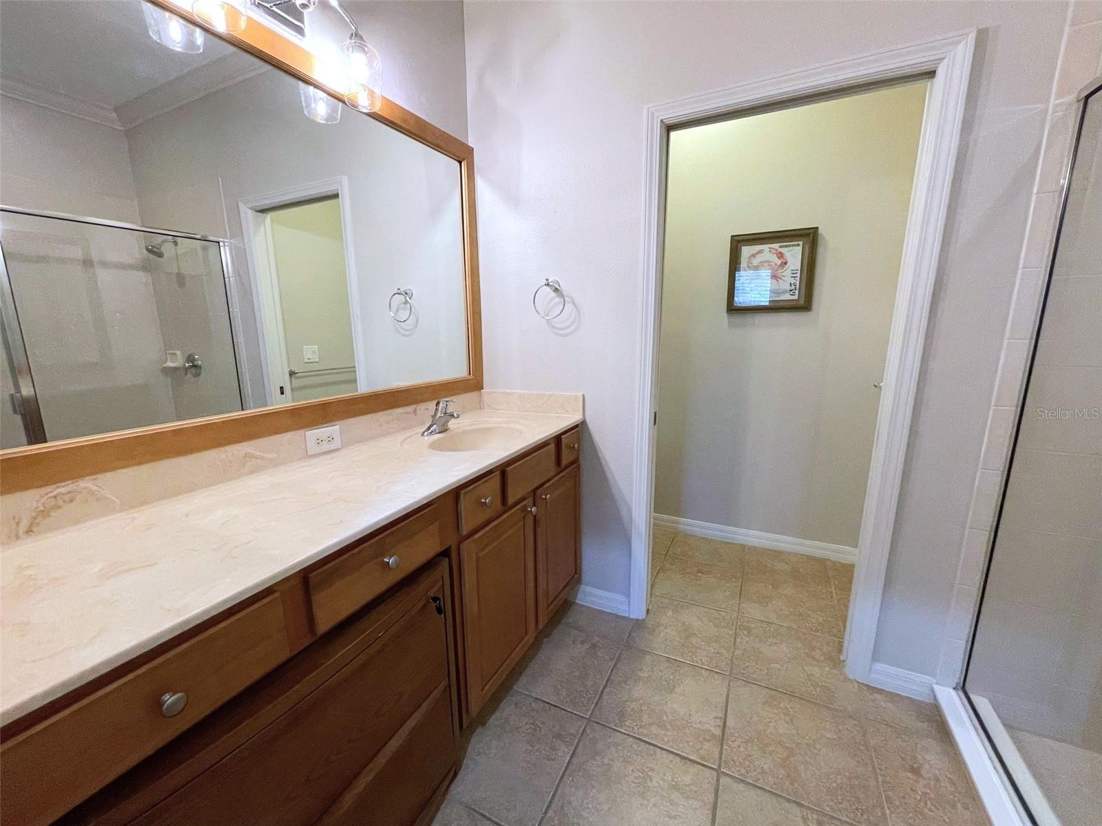 2776 ARUGULA DR