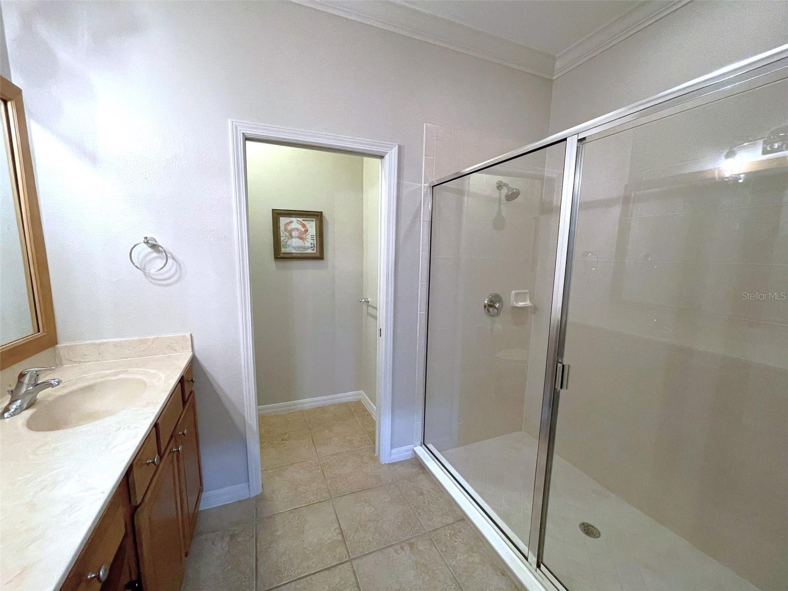 2776 ARUGULA DR