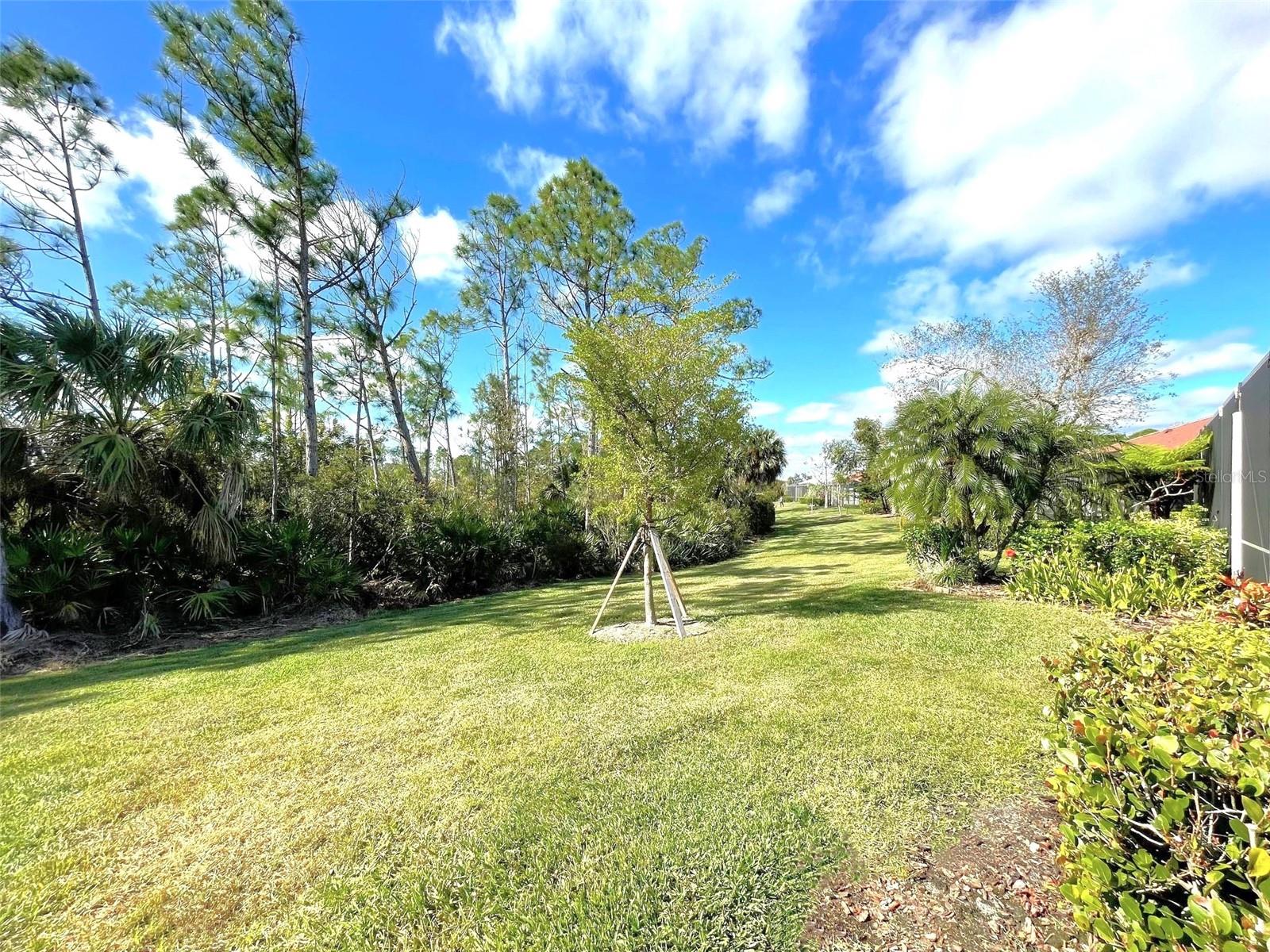 2776 ARUGULA DR