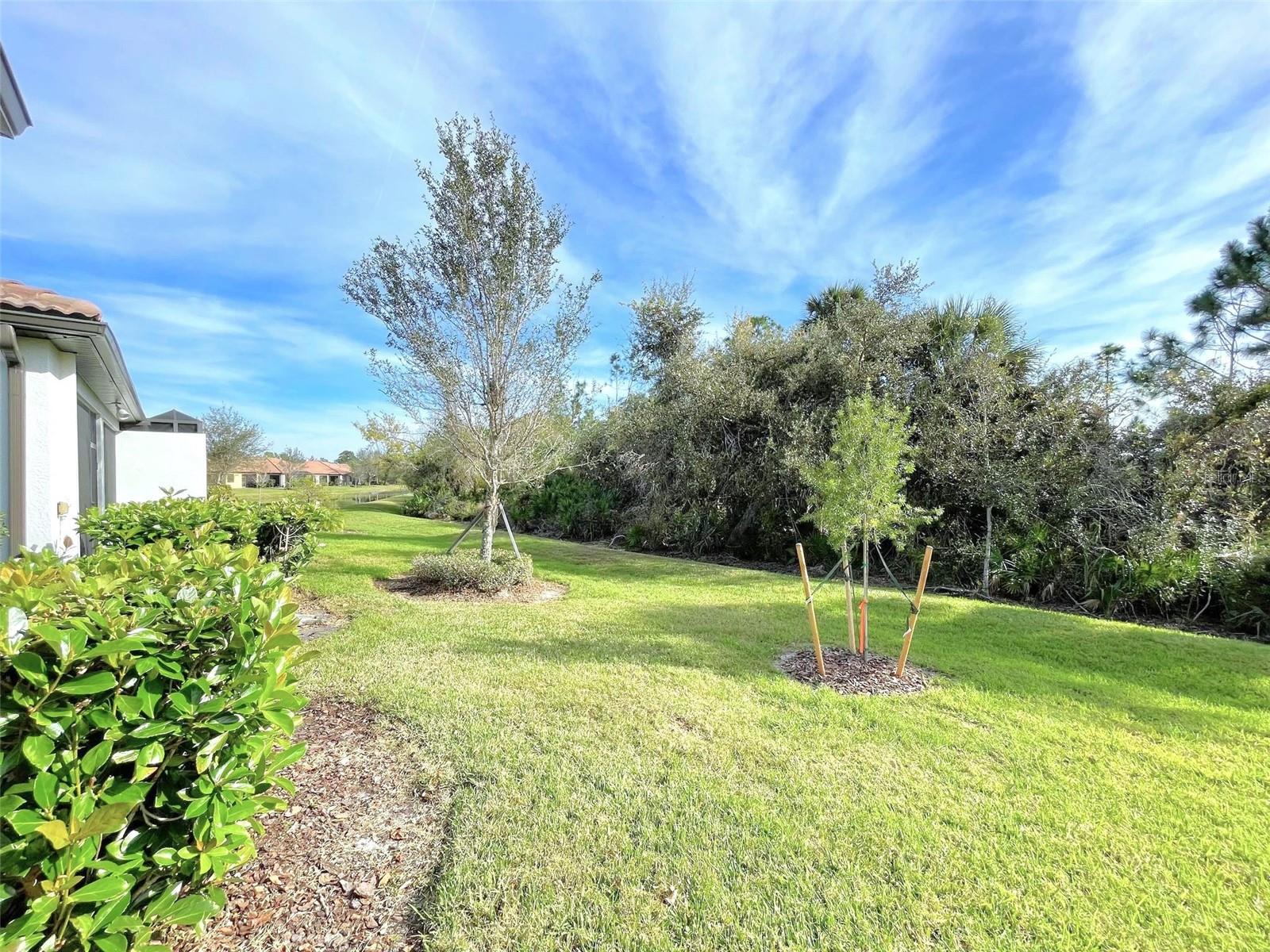 2852 ARUGULA DR