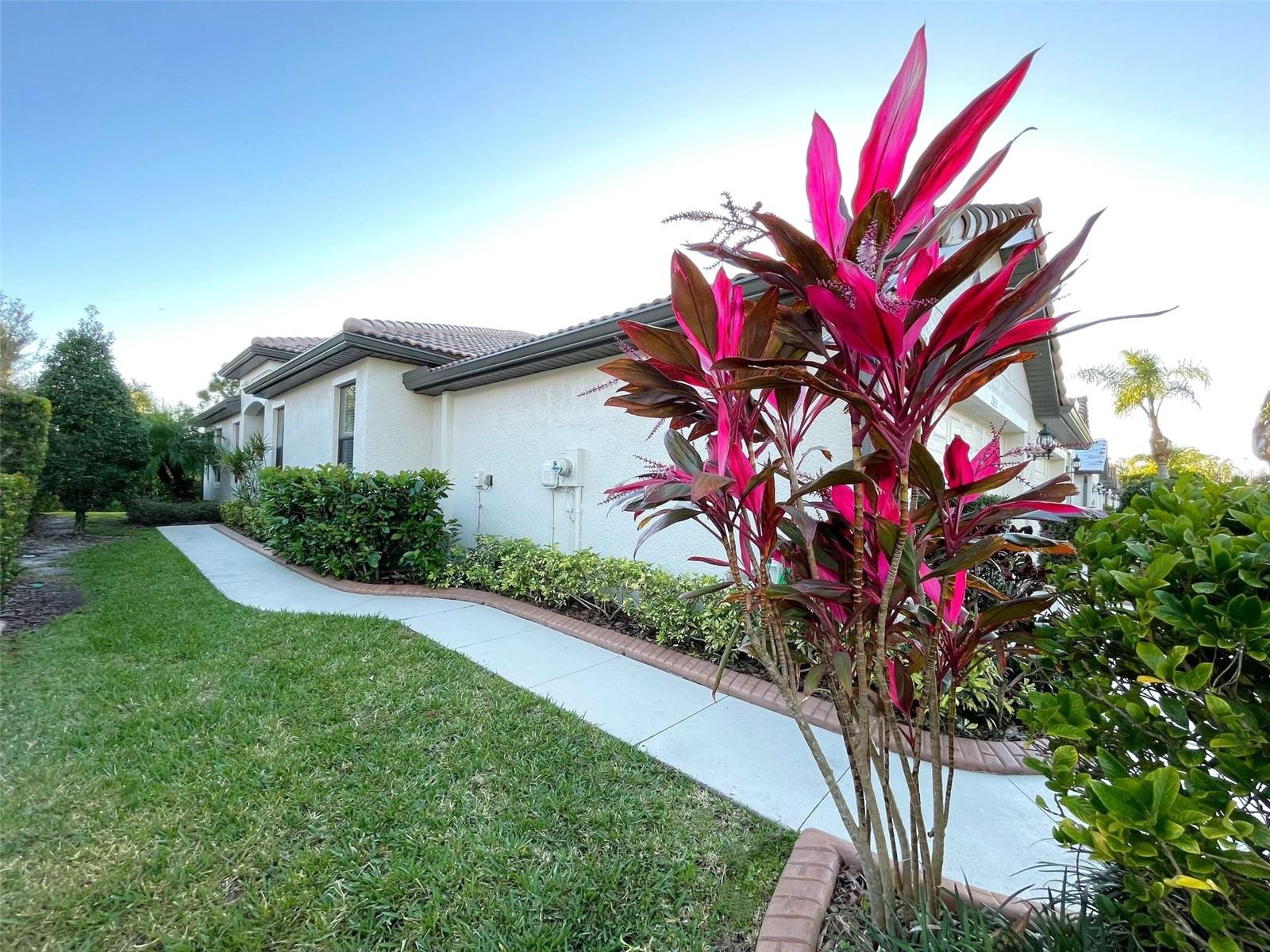2852 ARUGULA DR