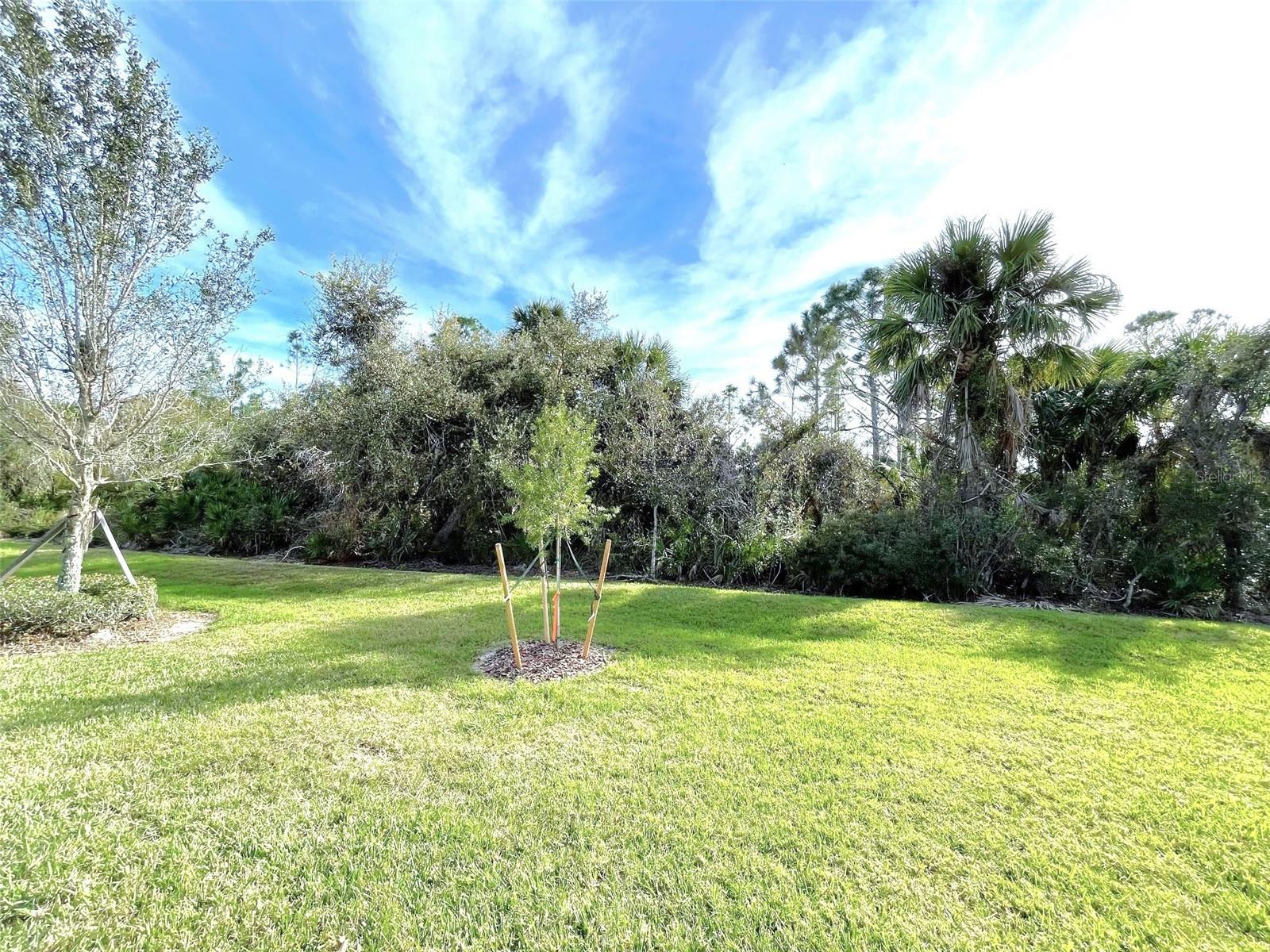 2852 ARUGULA DR