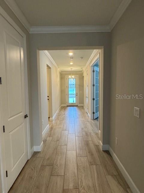 1263 CICELY CT