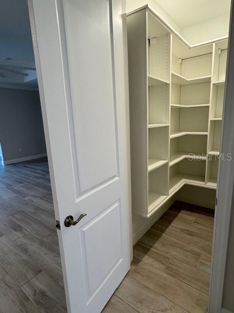 1263 CICELY CT