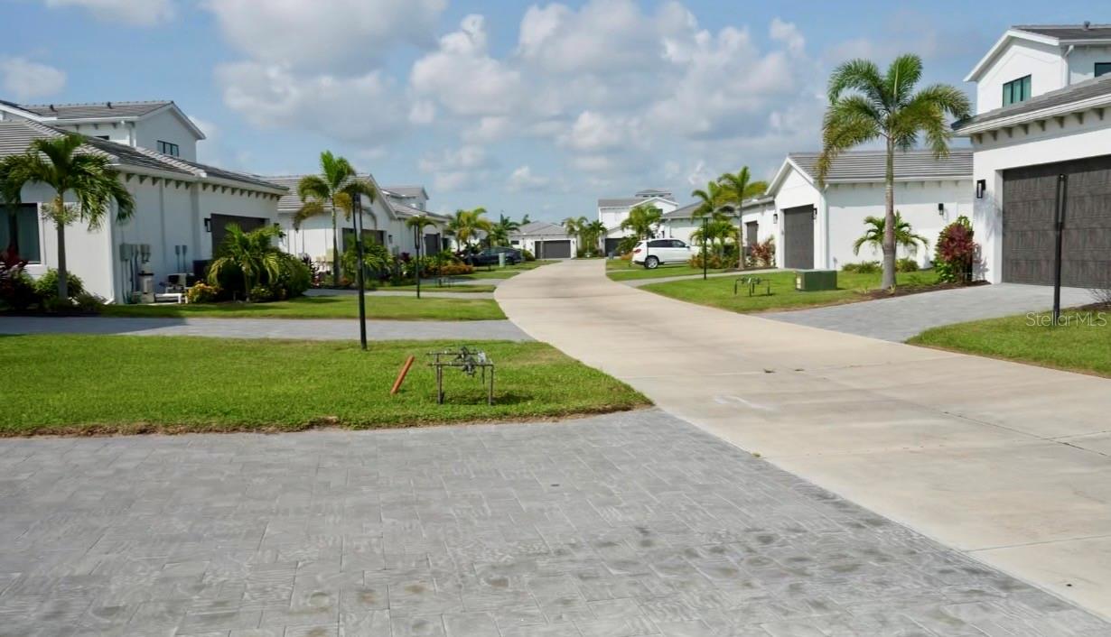 6003 CAT CLAW LN