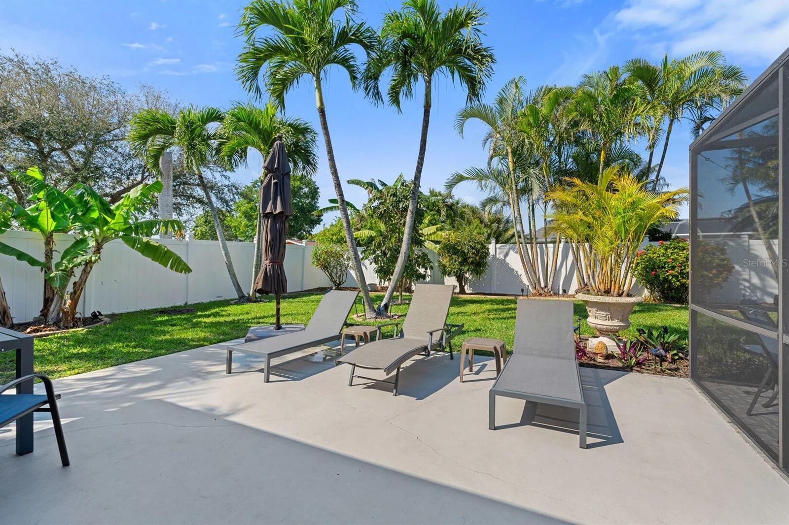 Backyard patio with chaise lounges, a closed umbrella, and tropical palm landscaping.