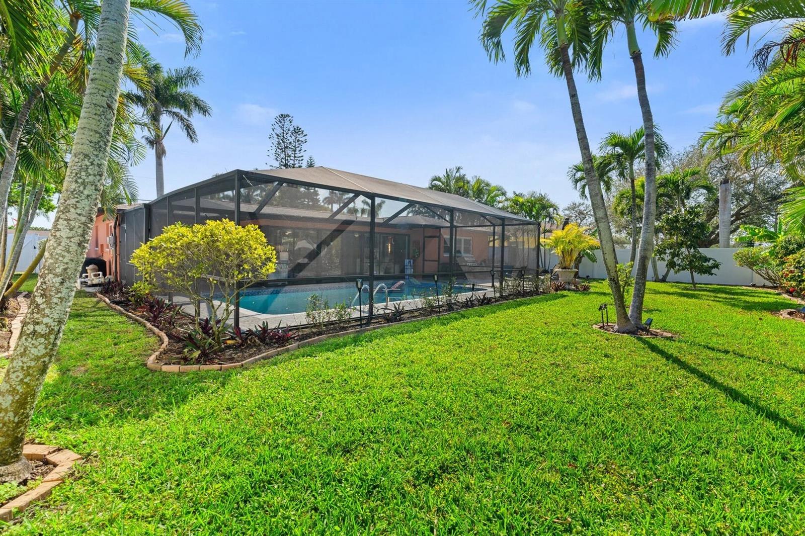 Screened swimming pool and patio amid a lush lawn and tall palm trees.
