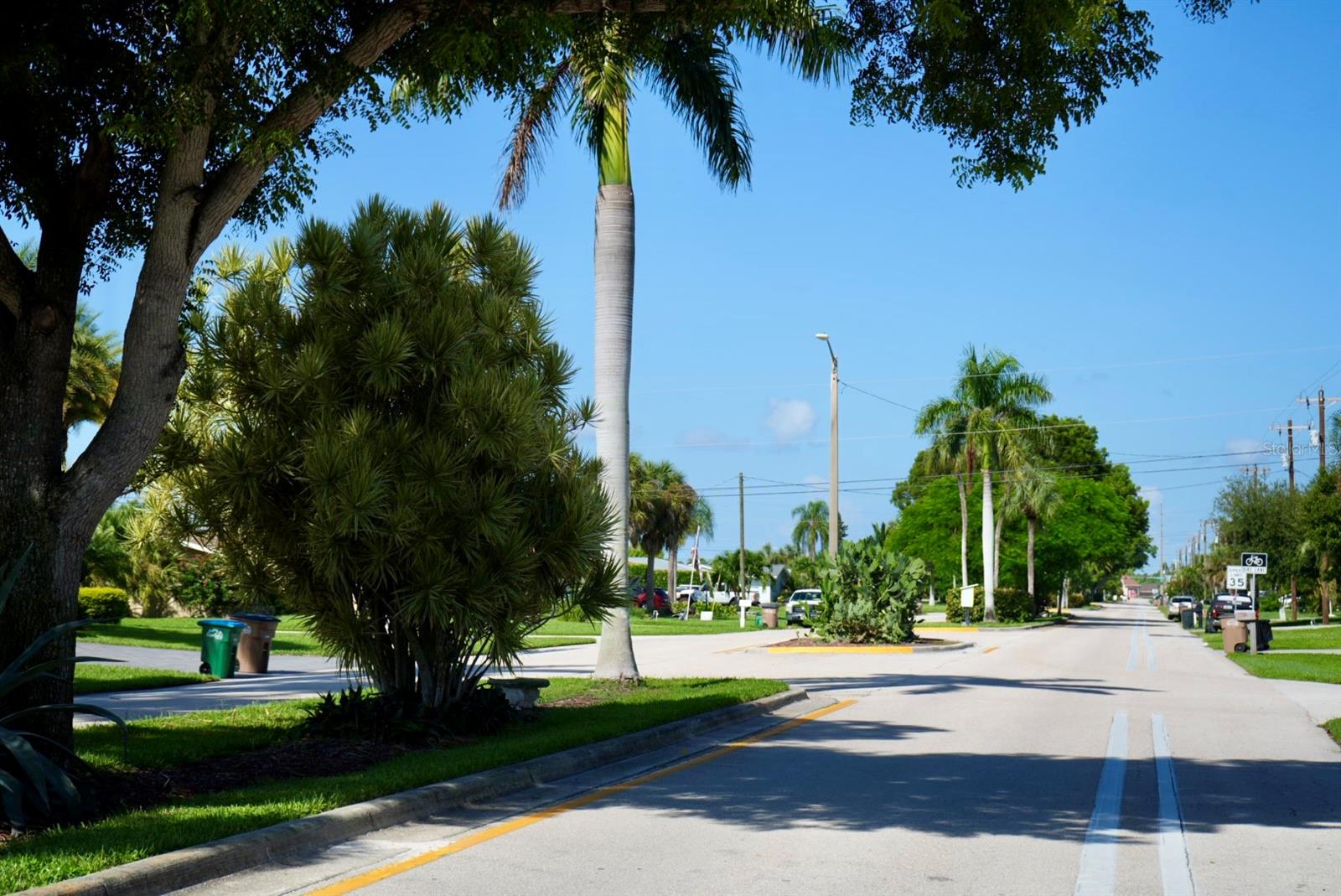 Palm-lined residential street with a marked bike lane and speed limit sign.