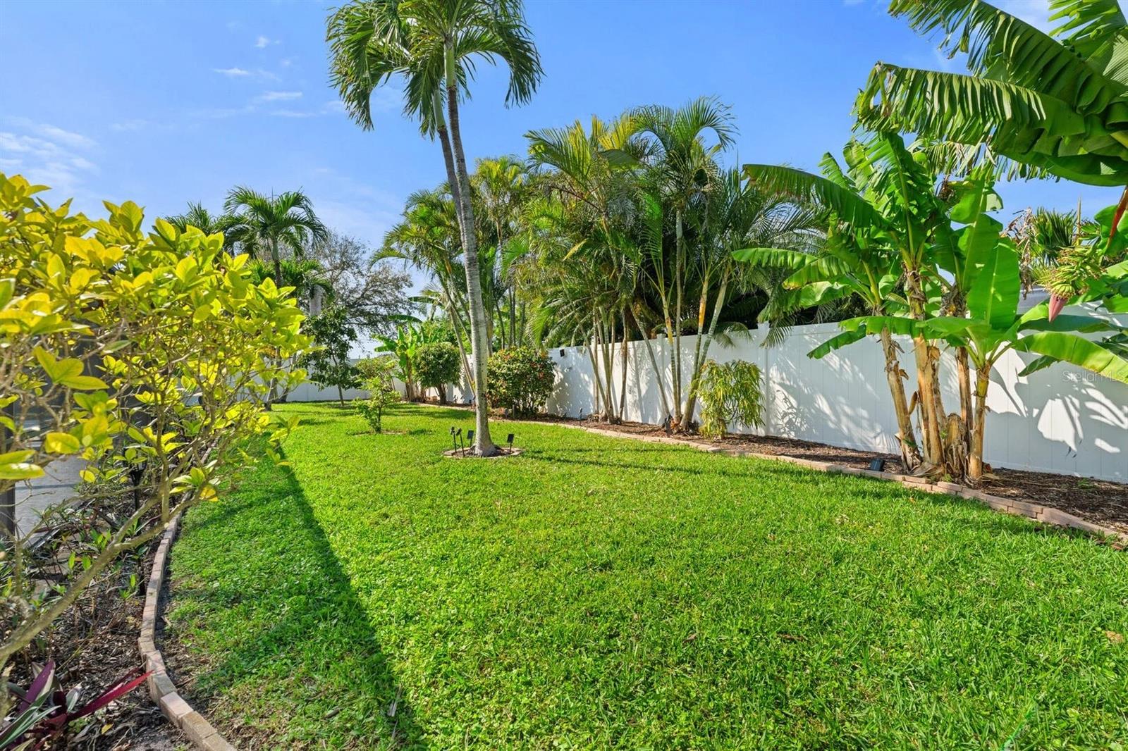 Tropical backyard with a broad lawn, palms, banana plants, and a white privacy fence.