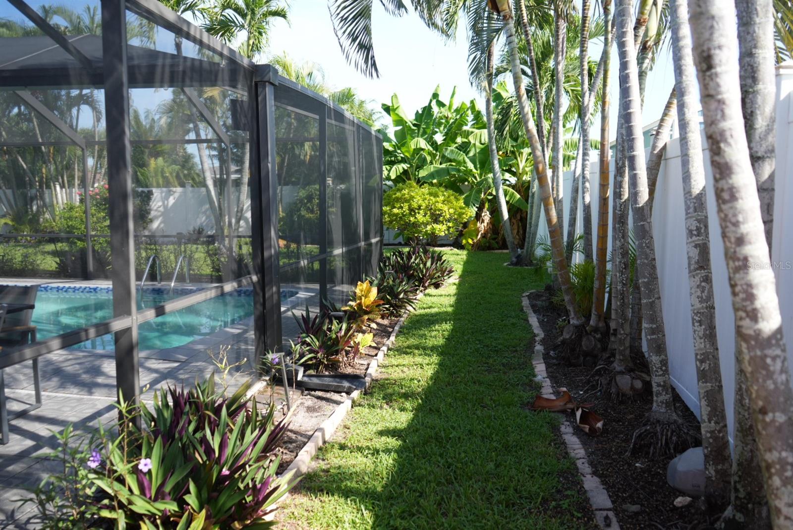 Screened-in pool beside a tropical backyard path lined with palms and landscaped planting beds.