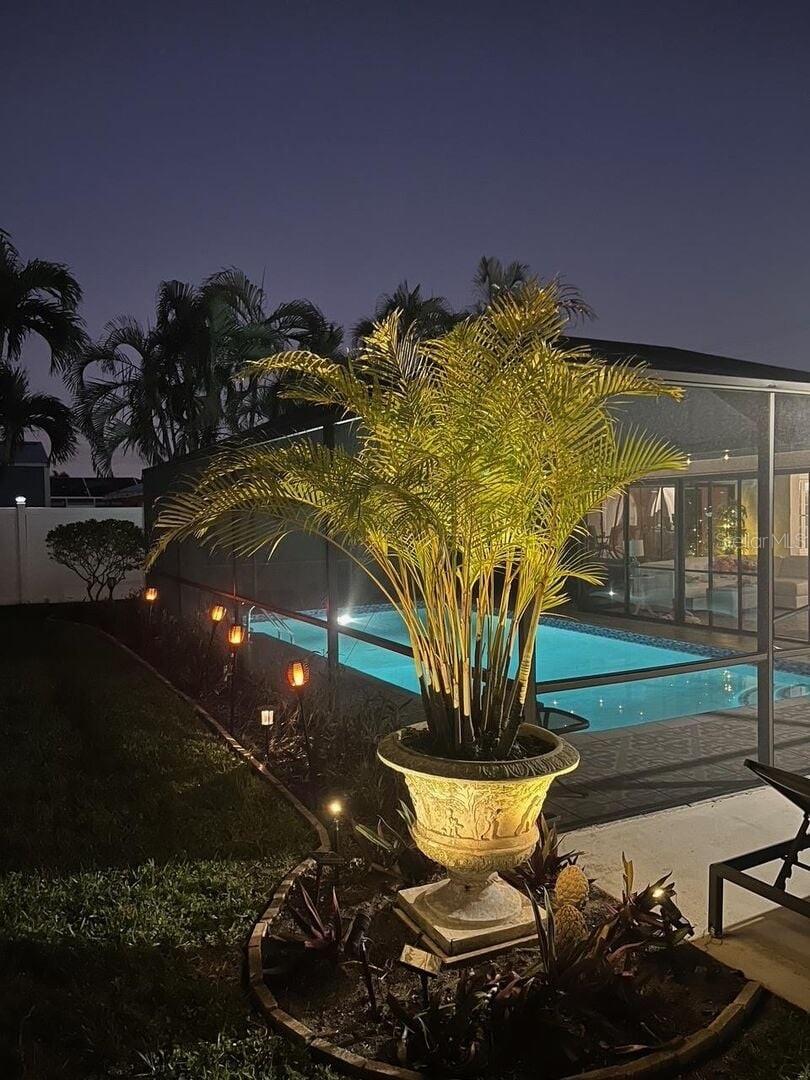 Backyard pool at night beside a screened lanai, with a lit palm planter and landscape lighting.