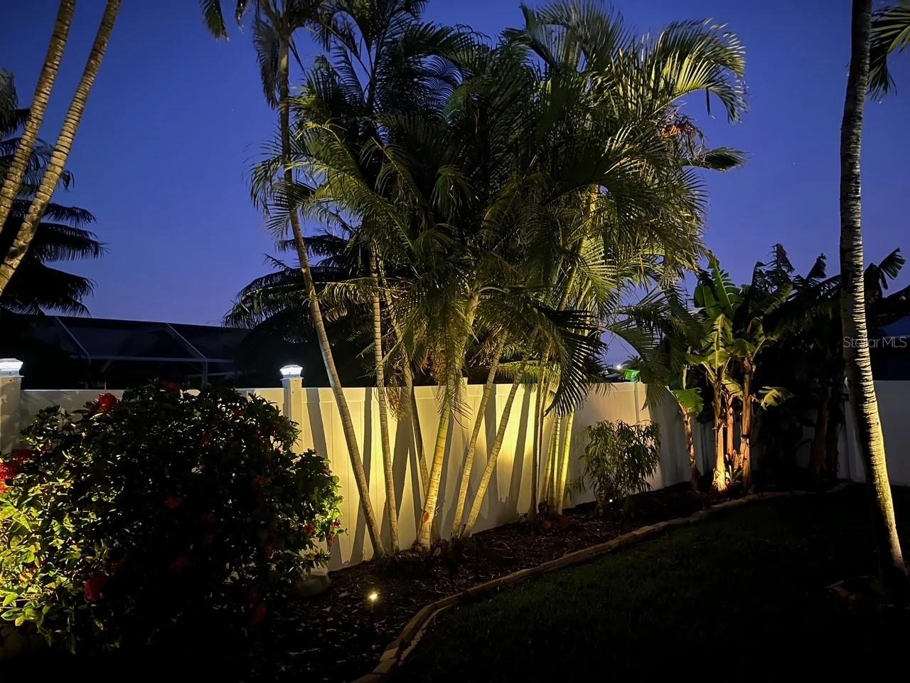 Palm-lined landscaped yard with a white privacy fence illuminated at night.