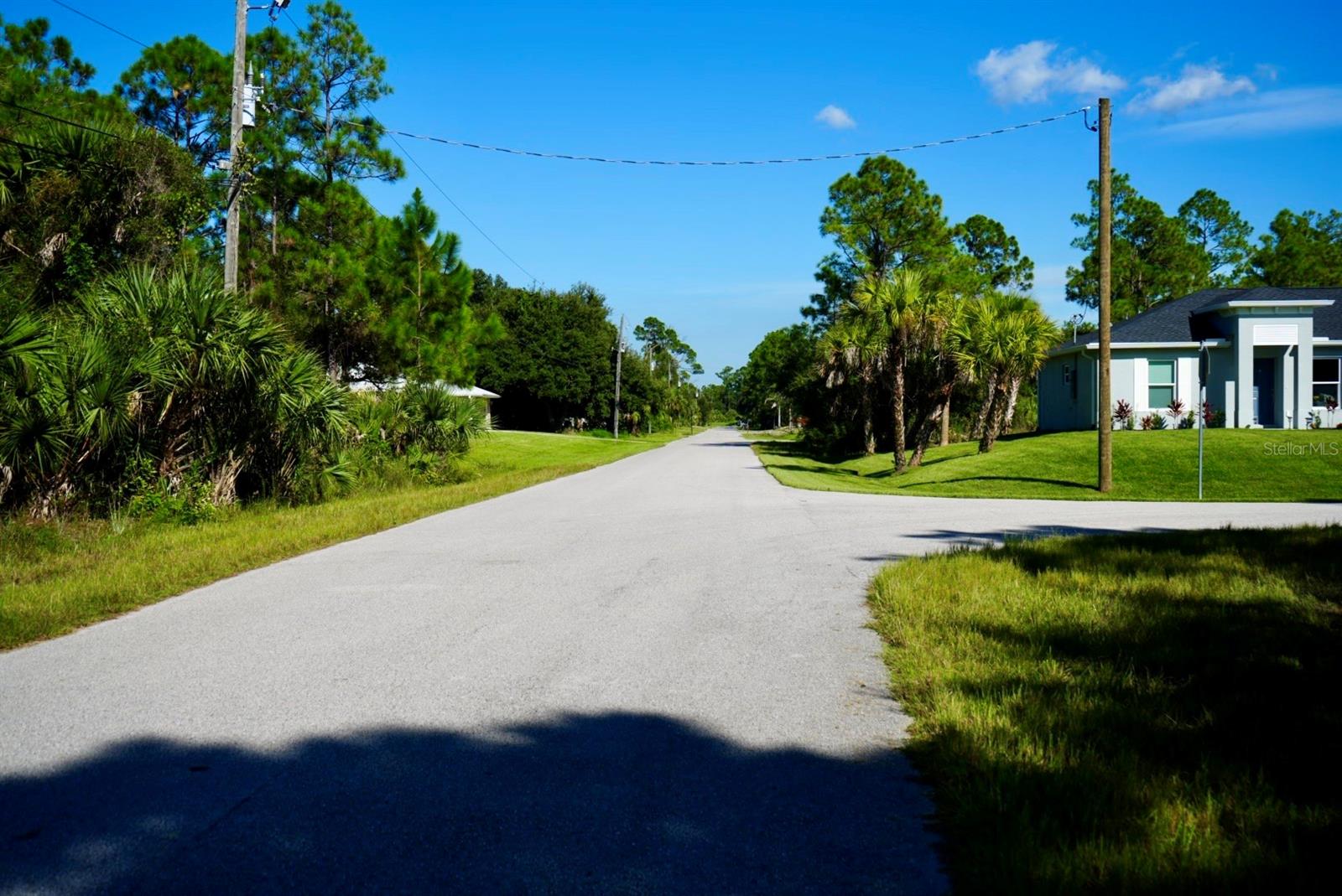 Residential street with a blue-gray house, palms, and pine trees along the road.