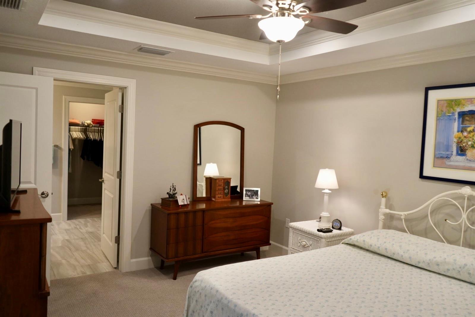 Bedroom with a tray ceiling, ceiling fan, dark wood dresser, and open walk-in closet.