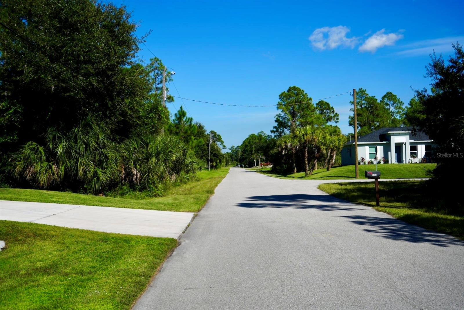 Residential street with tropical greenery and a single-story house beside the road.